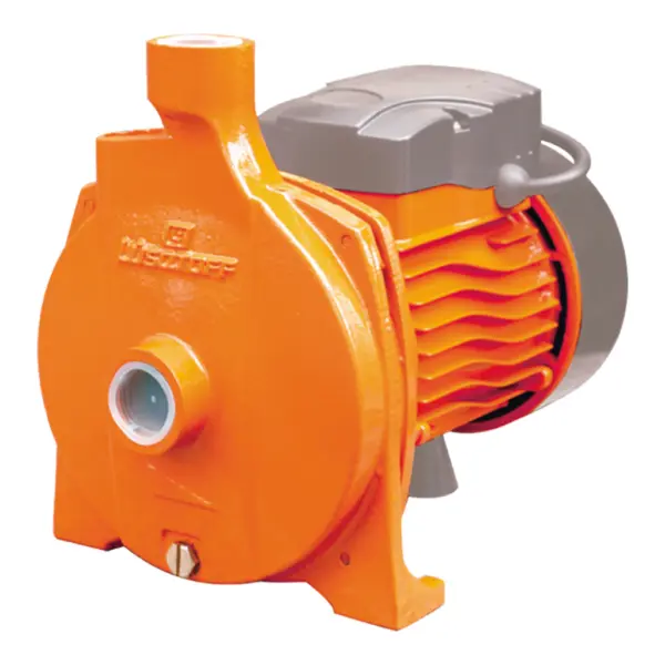 Bomba Centrifuga 1Hp LUSQTOFF Cpm158